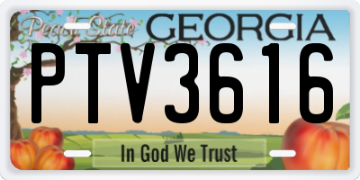 GA license plate PTV3616