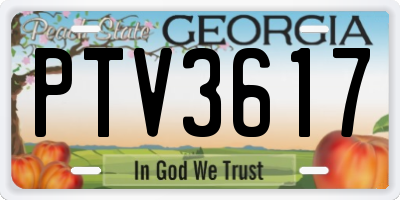 GA license plate PTV3617