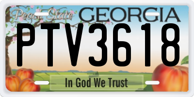 GA license plate PTV3618
