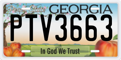 GA license plate PTV3663