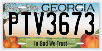 GA license plate PTV3673