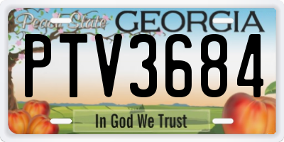 GA license plate PTV3684