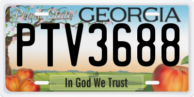 GA license plate PTV3688