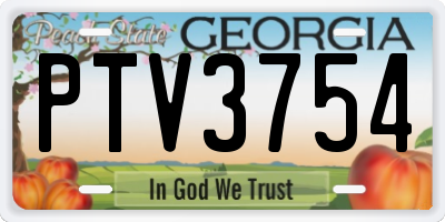 GA license plate PTV3754