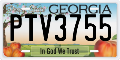 GA license plate PTV3755