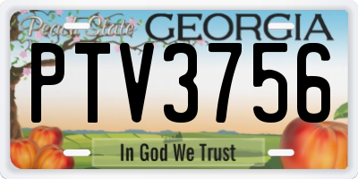 GA license plate PTV3756