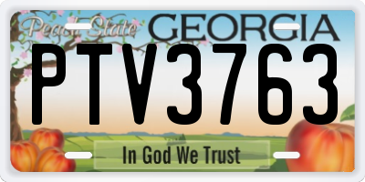 GA license plate PTV3763