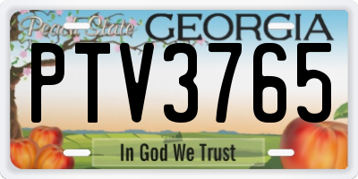 GA license plate PTV3765