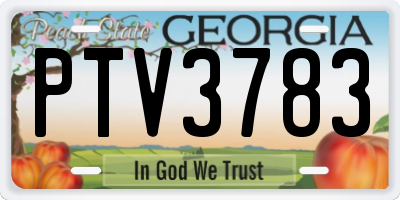 GA license plate PTV3783