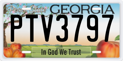 GA license plate PTV3797