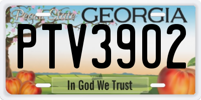 GA license plate PTV3902
