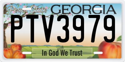 GA license plate PTV3979