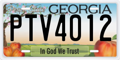 GA license plate PTV4012