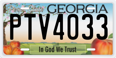 GA license plate PTV4033