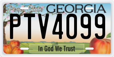 GA license plate PTV4099