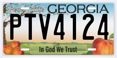 GA license plate PTV4124
