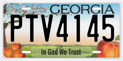 GA license plate PTV4145