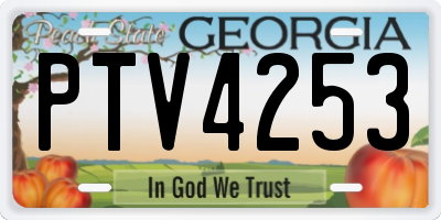 GA license plate PTV4253