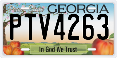 GA license plate PTV4263