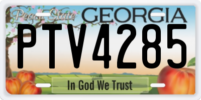 GA license plate PTV4285