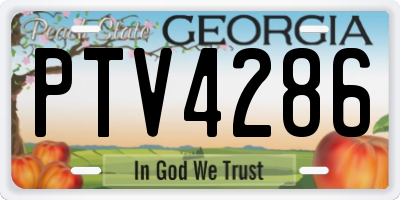 GA license plate PTV4286