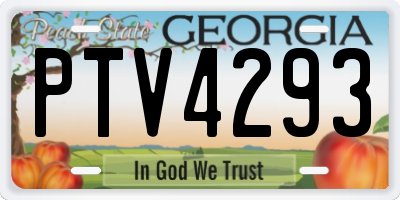 GA license plate PTV4293