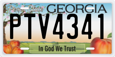 GA license plate PTV4341