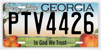 GA license plate PTV4426