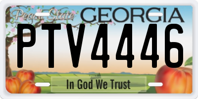 GA license plate PTV4446