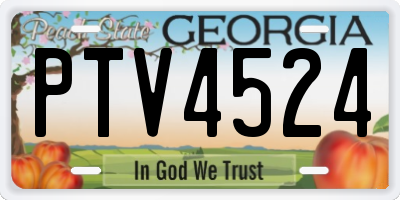GA license plate PTV4524