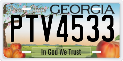 GA license plate PTV4533
