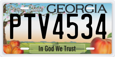 GA license plate PTV4534