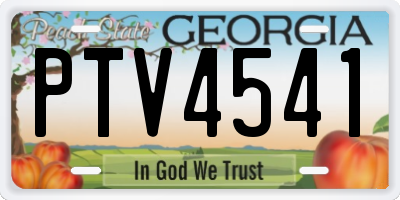GA license plate PTV4541