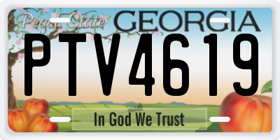 GA license plate PTV4619