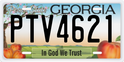 GA license plate PTV4621