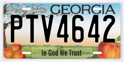 GA license plate PTV4642
