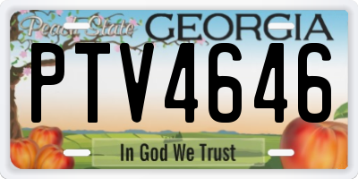 GA license plate PTV4646