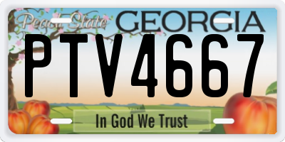 GA license plate PTV4667