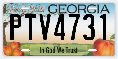 GA license plate PTV4731