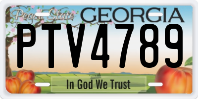 GA license plate PTV4789