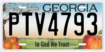 GA license plate PTV4793