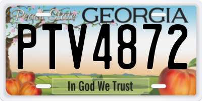 GA license plate PTV4872