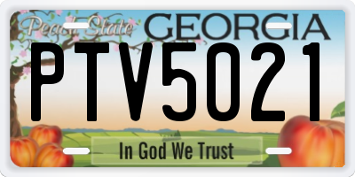 GA license plate PTV5021