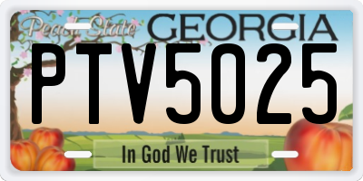 GA license plate PTV5025