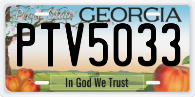 GA license plate PTV5033