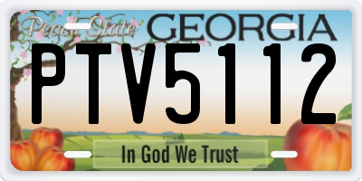 GA license plate PTV5112