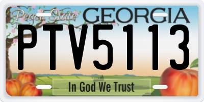 GA license plate PTV5113