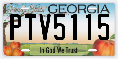 GA license plate PTV5115