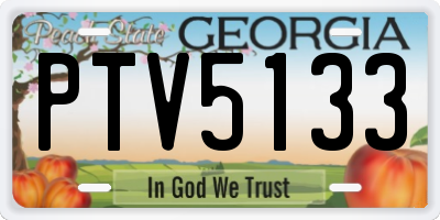 GA license plate PTV5133