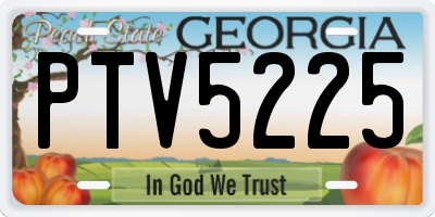 GA license plate PTV5225